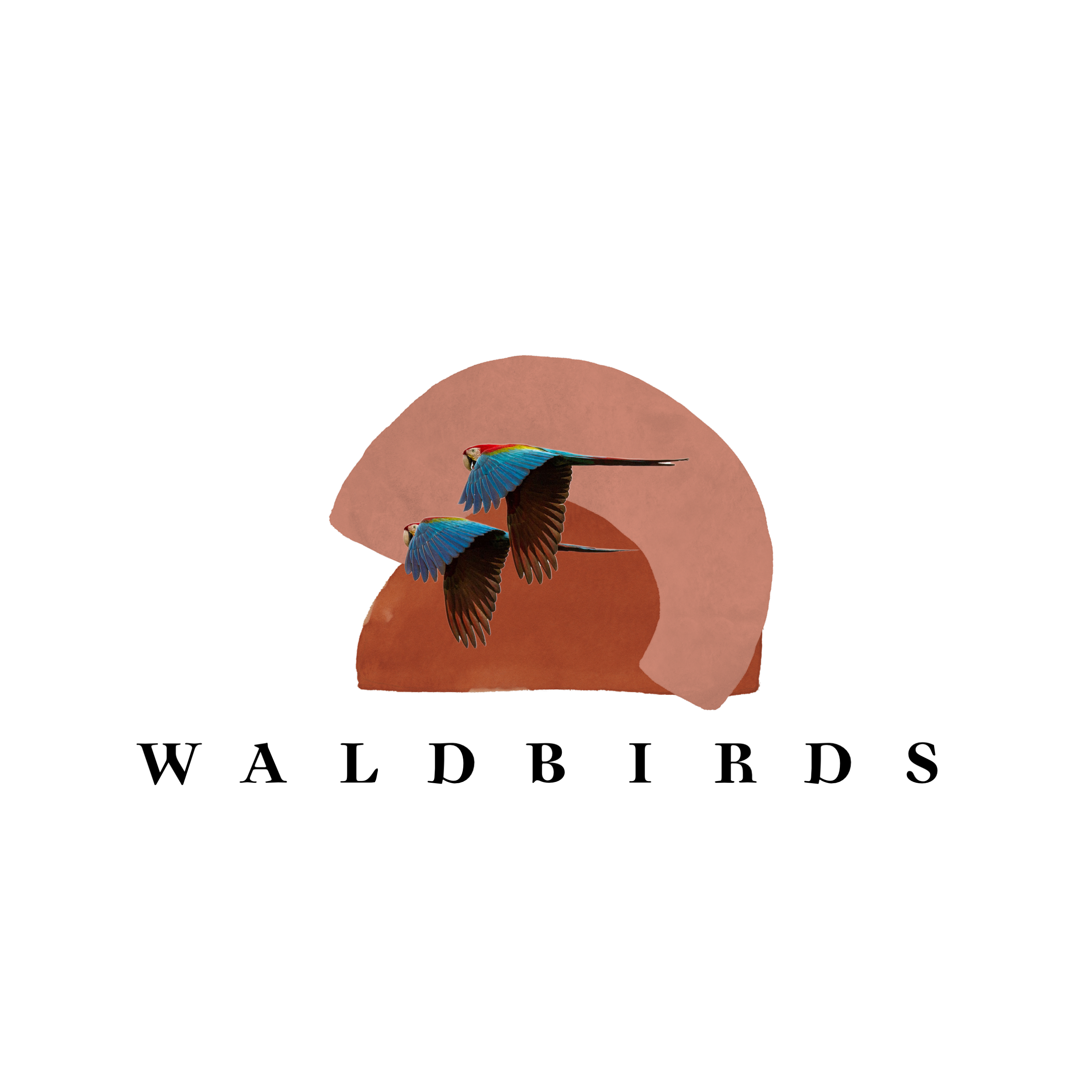 waldbirds.com